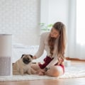 Upgrade Your Home with the Best 20x22x1 Air Filters for Allergies