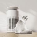 Choosing the Right Air Filter Sizes and the Best Air Purifiers for Allergies to Breathe Easier and Eliminate Dust, Pollen, and Pet Dander