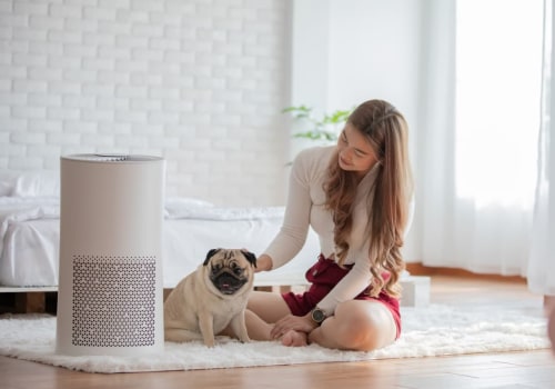 Upgrade Your Home with the Best 20x22x1 Air Filters for Allergies