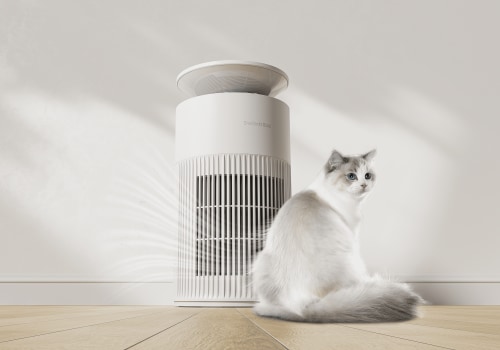 Choosing the Right Air Filter Sizes and the Best Air Purifiers for Allergies to Breathe Easier and Eliminate Dust, Pollen, and Pet Dander